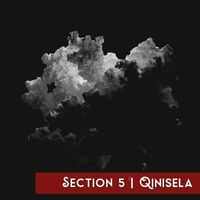 Section 5 - Qinisela