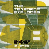The Teardrop Explodes - Culture Bunker 1978 - 82