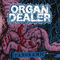 Organ Dealer - Panoramic