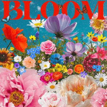 Sarah Rose - Bloom