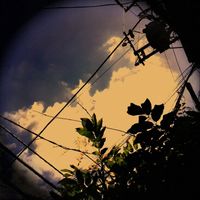 Nay - Fall
