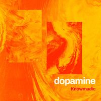knowmadic - dopamine