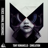 Tony Romanello - Simulation