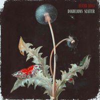 Bernie Rosa - Dandelions Scatter