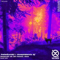 JosephRemix Dj, Paladium92 - Después de 30 meses, Elsa (Radio Edit)