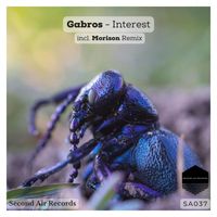 Gabros - Interest
