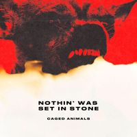 Caged Animals - Nothin' was Set in Stone (Explicit)
