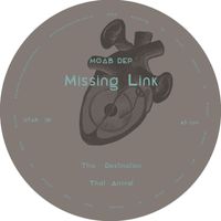 MOAB DEP - Missing Link