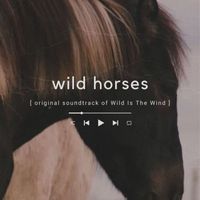 Dimitri Tiomkin - Wild Horses (Original Soundtrack of Wild Is The Wind)