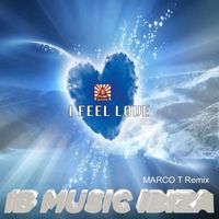 Terry Jee - I feel Love (Remix Edit)