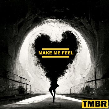 TMBR - Make Me Feel (Explicit)