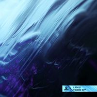Leks - Vices EP