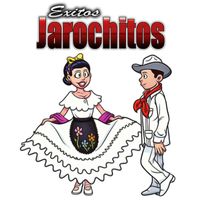 Varios Artistas - Exitos Jarochitos