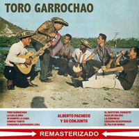Alberto Pacheco - Toro garrochao