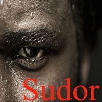 CopyrightLicensing - Sudor
