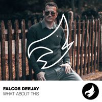 Falcos Deejay - What About This