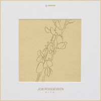 Job Roggeveen - Brem