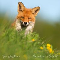 Tom Kristiaan - Paradise in Poland