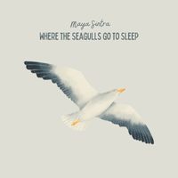 Maya Sintra - Where the Seagulls go to Sleep