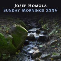 Josef Homola - Sunday Mornings XXXV