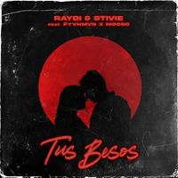 RayDi & Stivie - Tus Besos