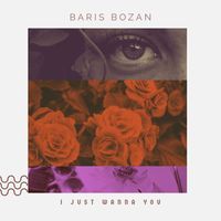 Baris Bozan - I Just Wanna You