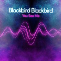 Blackbird Blackbird - You See Me