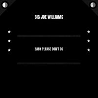 Big Joe Williams - Baby Please Don't Go
