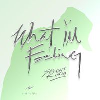 Steven King - What I'm Feeling (Explicit)