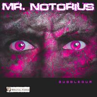 Mr. Notorius - Bubblegum