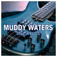 Muddy Waters - Still a Fool