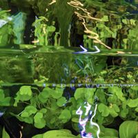 Ouri - Fonction Naturelle