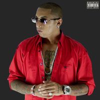 Ñengo Flow - Flow Ñengo