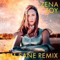 Zena - Toy (Gem Sane Remix)