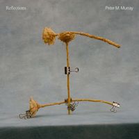 Peter M. Murray - Reflections