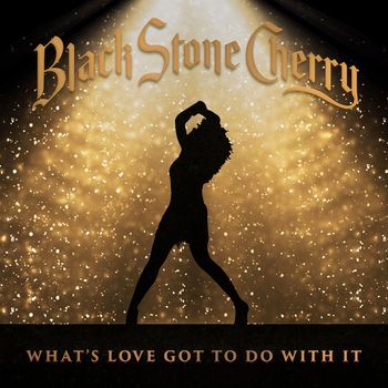 Black Stone Cherry - What's Love Got To Do With It