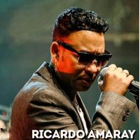 Ricardo Amaray - No puedo más