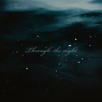 Joshua Naranjo - Through the Night