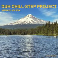 Michael Wilson - Duh Chill-Step Project