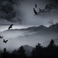 Ray - Wayouttahere Freestyle (Explicit)