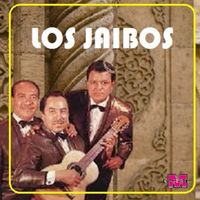 Los Jaibos - El Disco de Oro