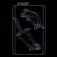 Runt - mange