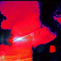 Sincere - GAME OF DEATH (Explicit)
