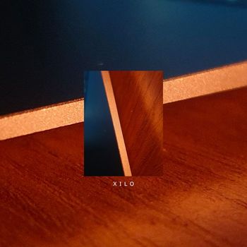 Sergio Gusto - Xilo
