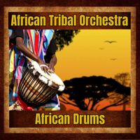 African Tribal Orchestra - African Drums