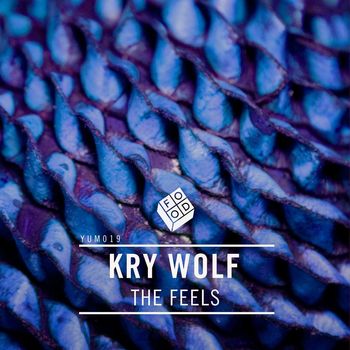 Kry Wolf - The Feels