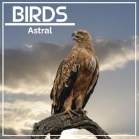 Astral - Birds