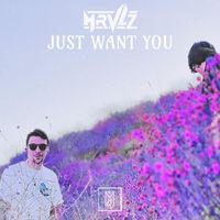 MRVLZ - Just Want You