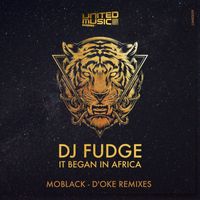 DJ Fudge - It Began In Africa