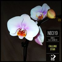 GRID'x featuring Alina Si - Falling Star